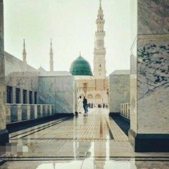 محمد سيد الكونين والثقلين | عابد عبدالهادي