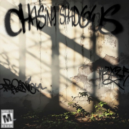 Chasing Shadows [ft. Room99]