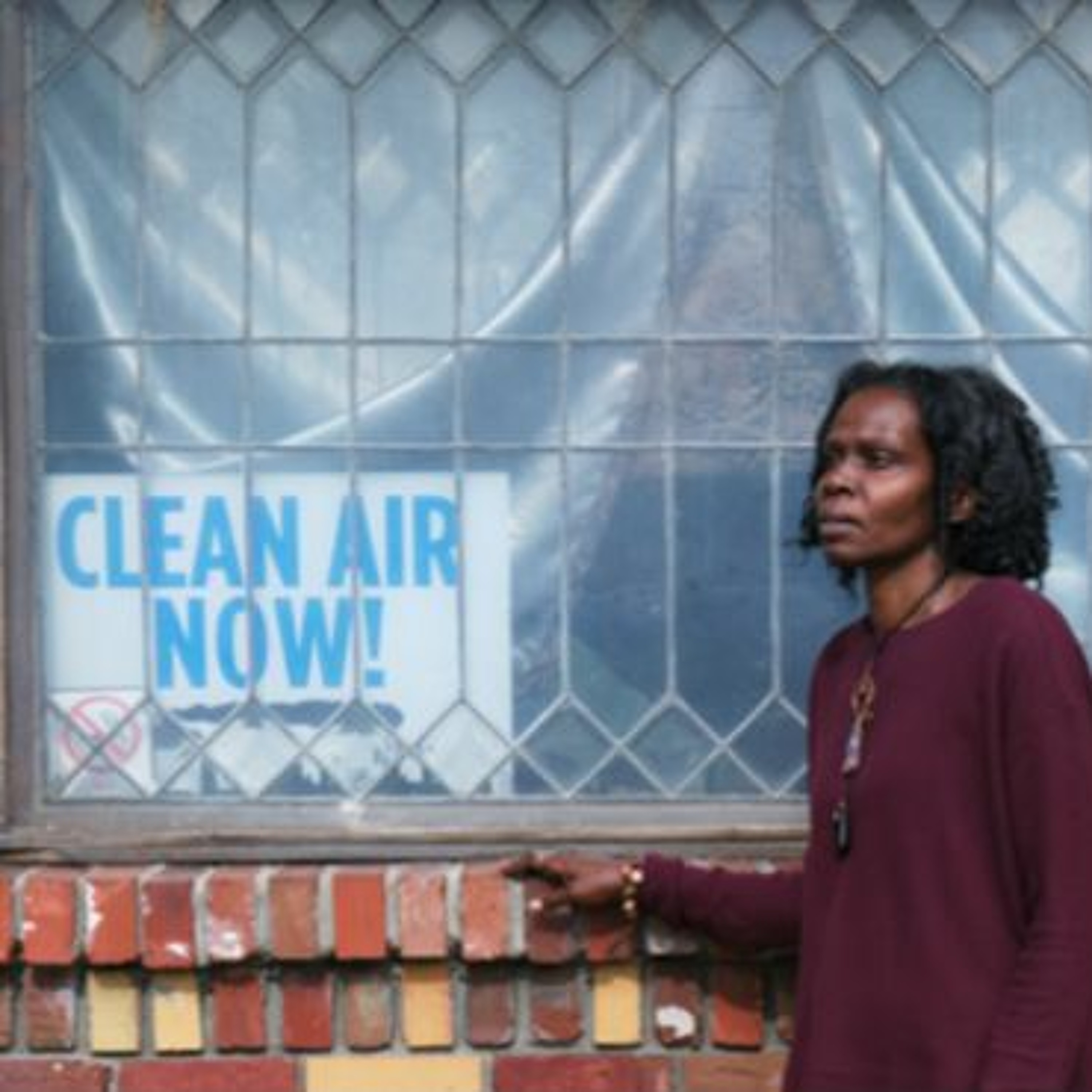 Bad Air Polluting Our Brains, Chemicals and the Obesity Epidemic, Team Seas and more episode artwork