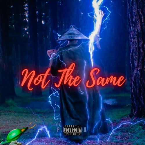 P Mavison_Not the same