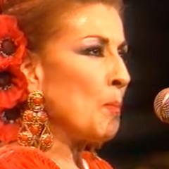 Gracia Montes.- Maruja Limón ('Fiebre del sur')