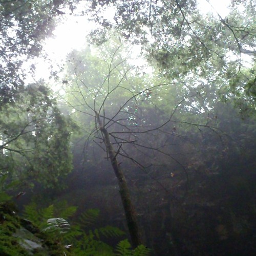 Into The Darkness