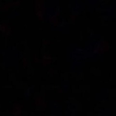 No Hoes [thursday freestyle] (feat. NardsAgain)