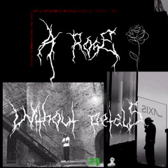 a rose without petals [ART-DIRECTOR + sockedbeatz]
