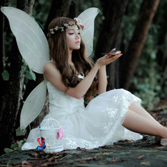 The Butterfly Princess