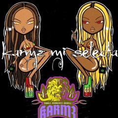 Karmz - Mi Selecta