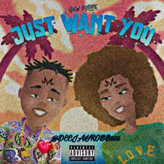 @DEEJAYROBB856 - JUST WANT YOU Remix ft. YNW BSlime