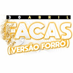 FACAS - Vidinha De Balada (Diego e Victor Hugo feat.  Bruno e Marrone)
