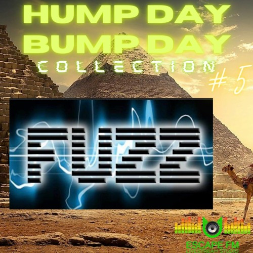 Hump Day Bump Day Collection Mix #5- DJ FuZZ