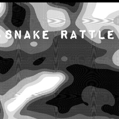 Snake Rattle