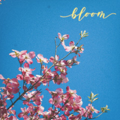 bloom (feat. Offscale)