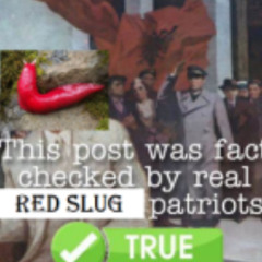 SLUG BREAKCORE 1
