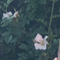 doyouremembermeunkindly