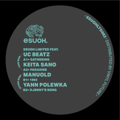PRMEMIERE: Yann Polewka - DJenny's Song [Esuoh]