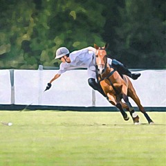 Polo.wav
