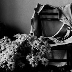 Audre's Recreation