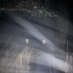 Mist Droplets