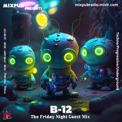 DJ B-12 Deep Acid House Experience 46 - MixPub Guest Mix - August 2023