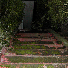 What Are They Doing Up There?