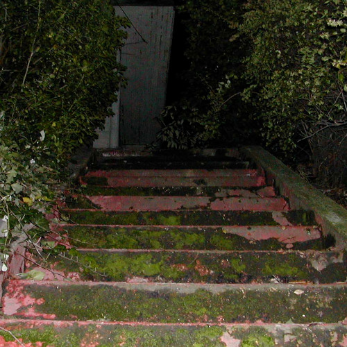 What Are They Doing Up There?