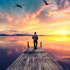 Như nắng trong đêm (Analog Remaster) - Thân Minh Hà