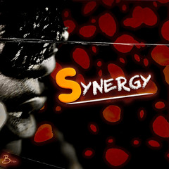 SyNerGy