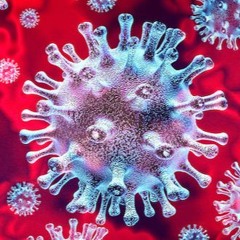 Shtrudel - CoronaVirus