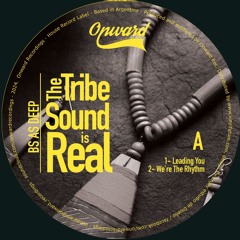 Bs As Deep, Lucio De Rosa / The Tribe Sound Is Real Bs As Deep, Lucio De Rosa / The Tribe Sound Is Real