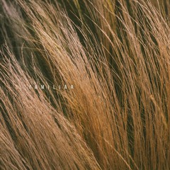 E.lementaL ~ familiar