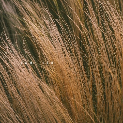 E.lementaL ~ familiar