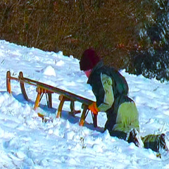 Let it snow - Solls doch schneien - bayerisch bavarian - Winfried Regau - famos by Dean Martin