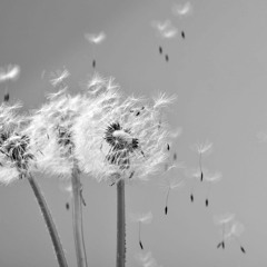 Afire Love - Ed Sheeran (Short Cover)