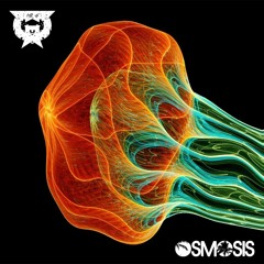 Mr. G - Osmosis (DJ SET)