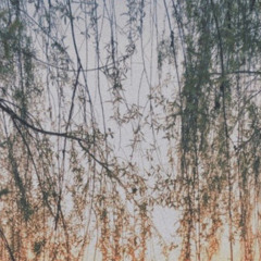 Flowery Sounds Part One