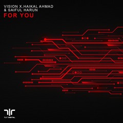 Vision X, Haikal Ahmad & Saiful Harun - For You (Preview)