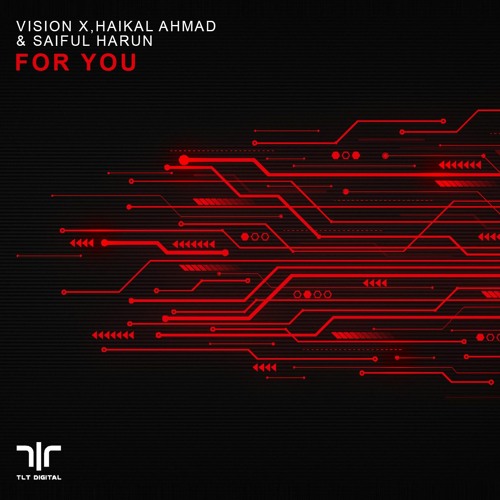 Vision X, Haikal Ahmad & Saiful Harun - For You (Preview)