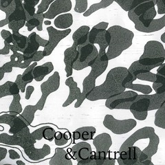 DC Promo Tracks: Oren Cantrell and Sam Cooper "Form and Sequence"
