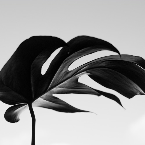 Ben Macklin ft Emma Brammer - Stay With Me (FVHM Remix)