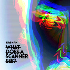 what does a scanner see?