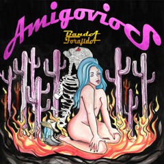 AMIGOVIOS