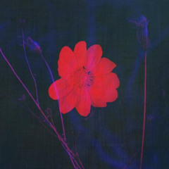 [FREE] Lil Durk Type Beat - "Hustle" | Trap instrumental 2024