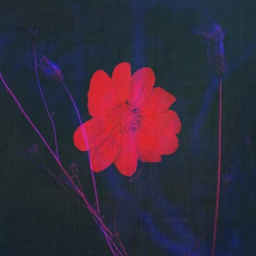 [FREE] Lil Durk Type Beat - "Hustle" | Trap instrumental 2024