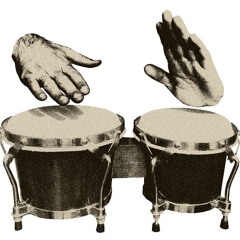 Renegade Bongos