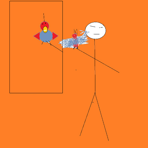 The Man The Parrot and the Mirror