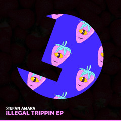 Stefan Amara - Sunshine - Loulou records (LLR347)(OUT NOW)