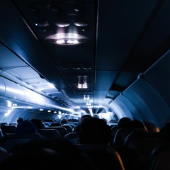 Flight Sample