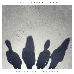 Thick As Thieves