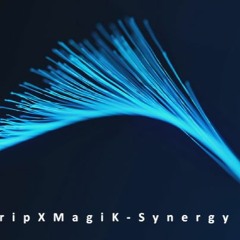 Track#2 Synergy