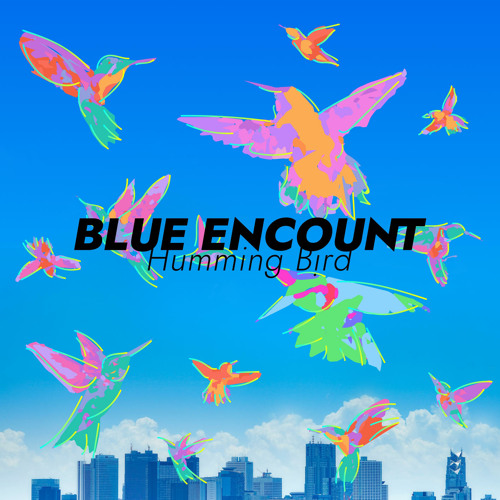 Humming Bird By Blue Encount Humming Bird By Blue Encount