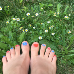 Speedgull_02_01_2016_Version_5